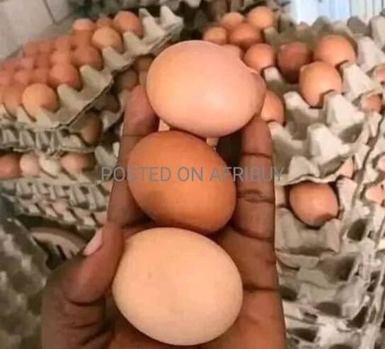 Fresh eggs